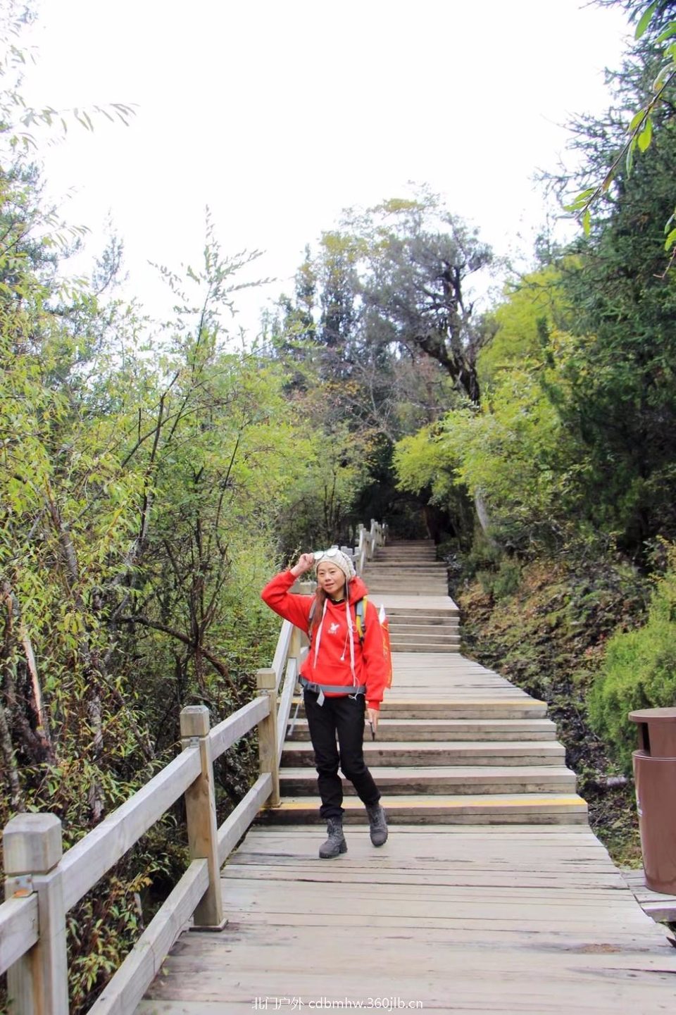 mmexport1541396260520