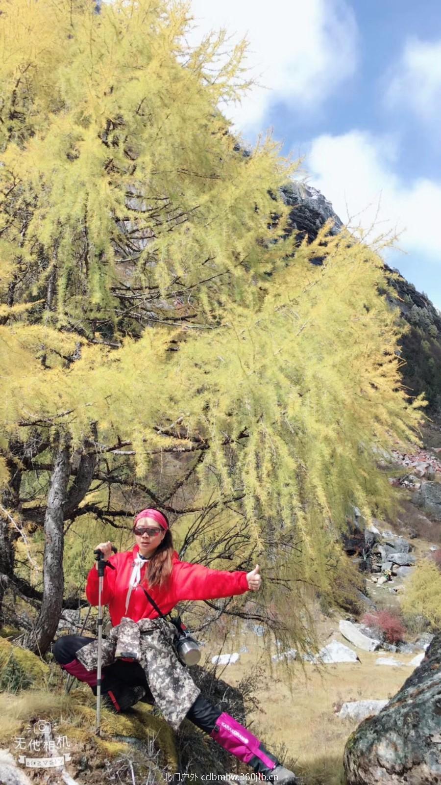 mmexport1541396241539