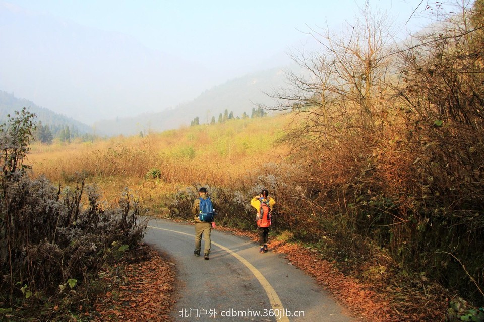 mmexport1543209825082