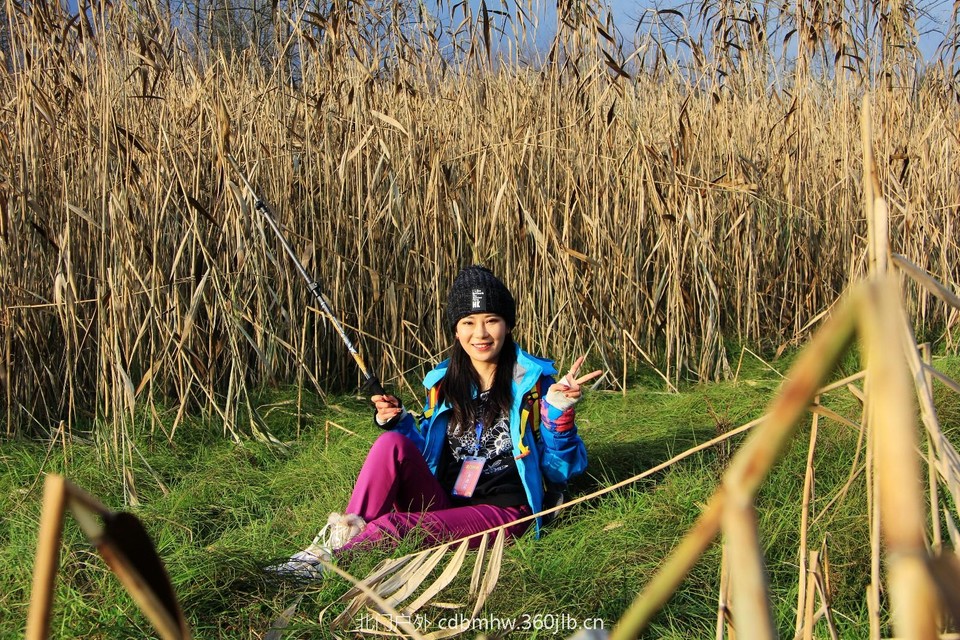 mmexport1543209864330