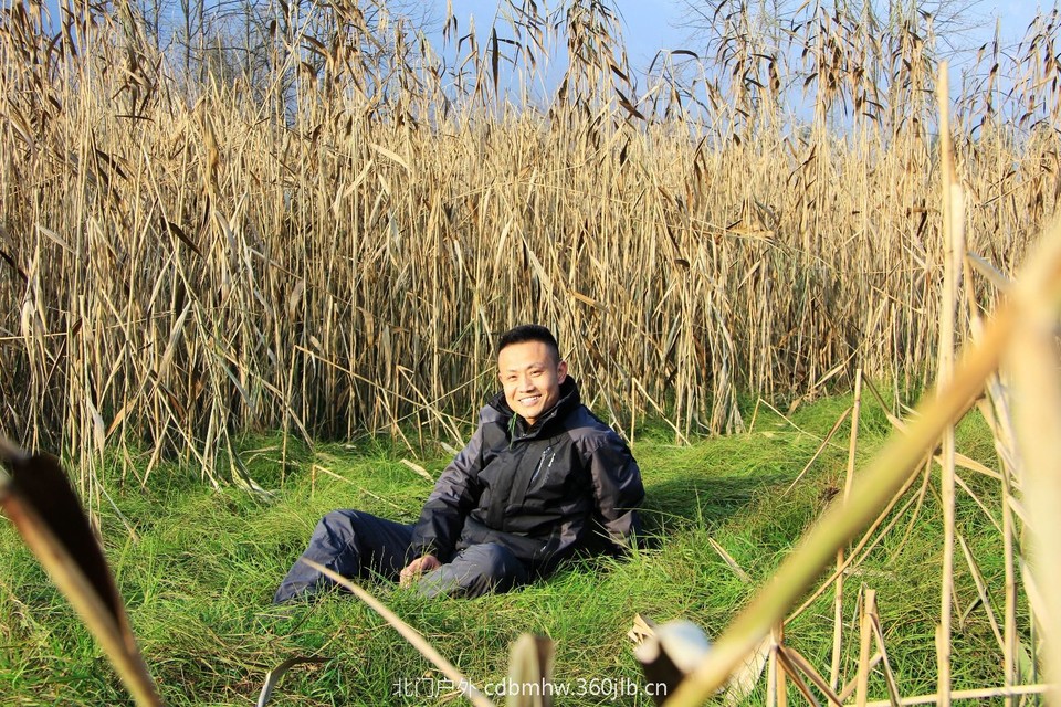 mmexport1543209796833