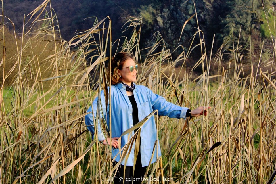 mmexport1543209686228