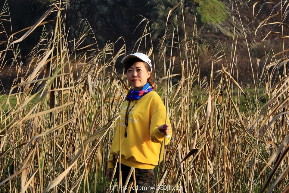 mmexport1543209720279