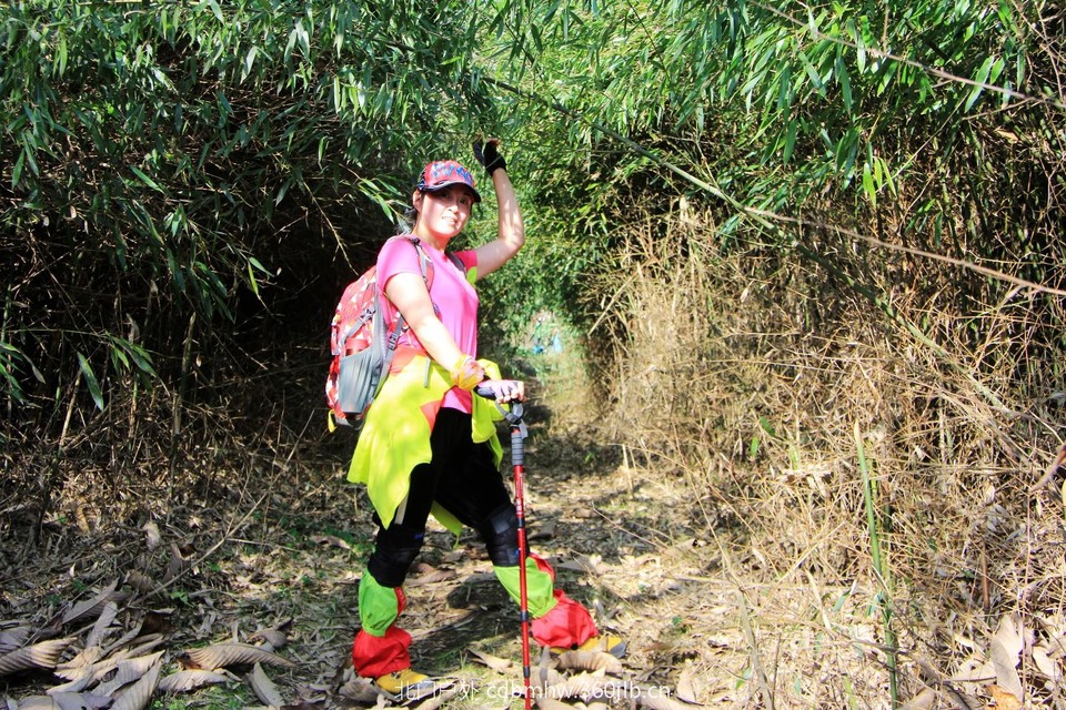 mmexport1543209478596