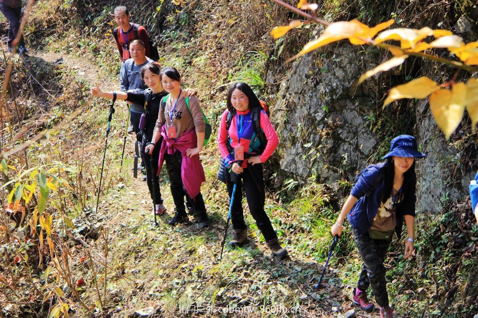 mmexport1543209410085