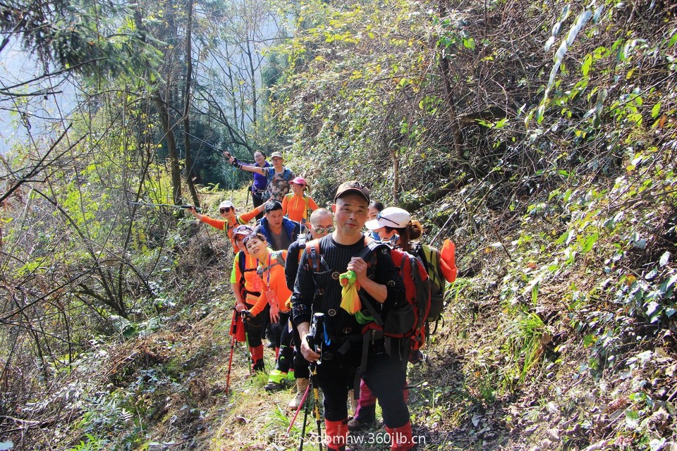 mmexport1543209441049