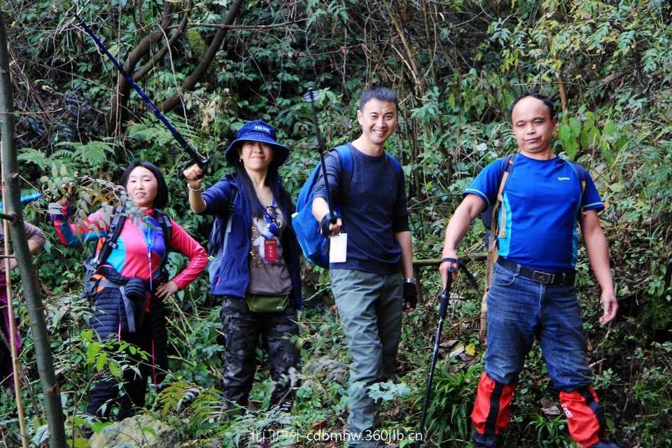 mmexport1543209352534