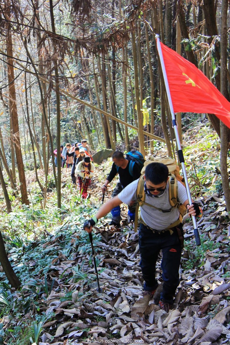 mmexport1543209137277