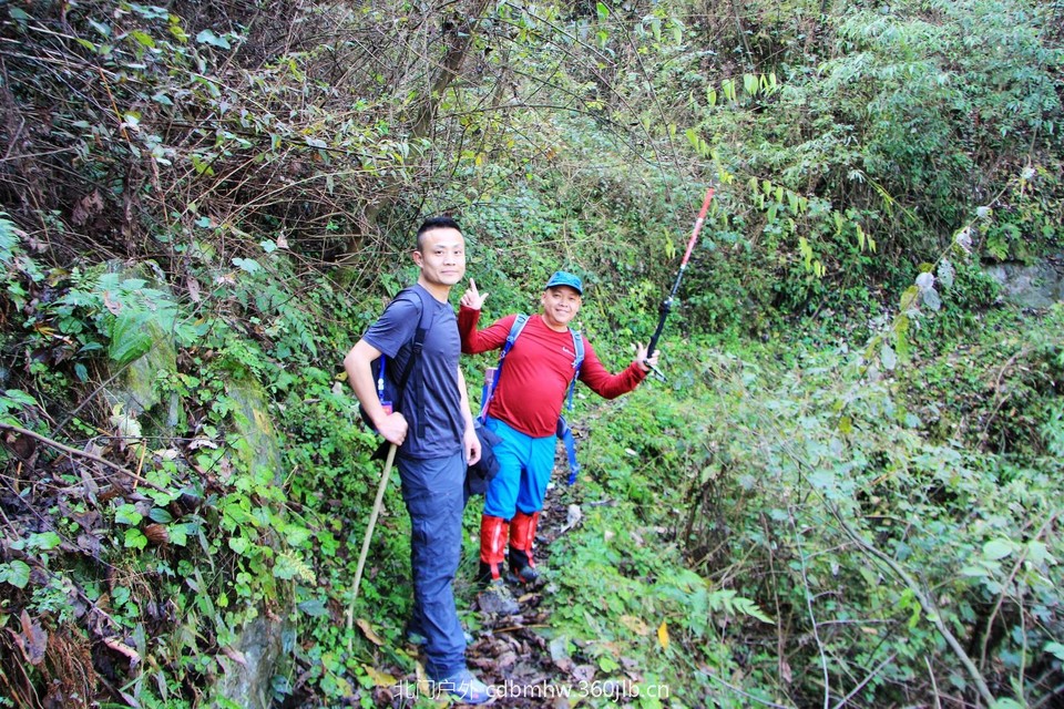 mmexport1543209166970