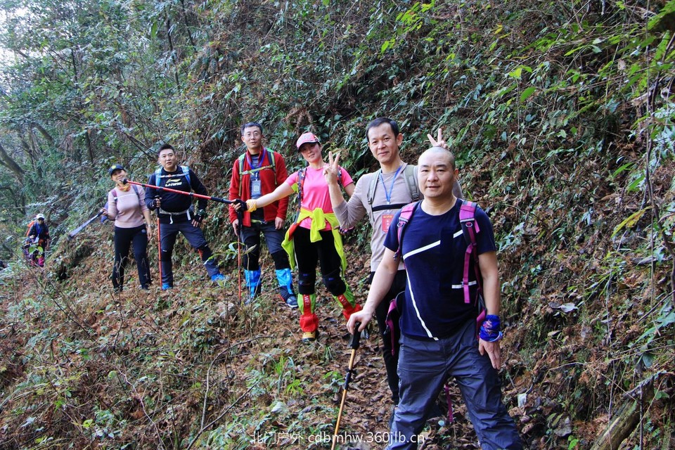 mmexport1543209106271