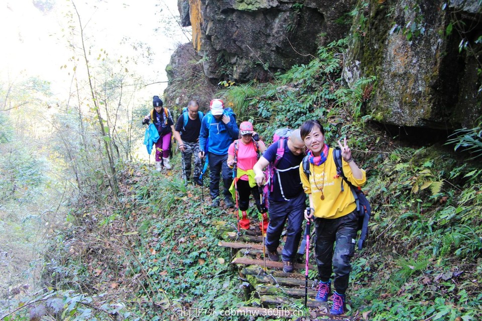 mmexport1543209039483