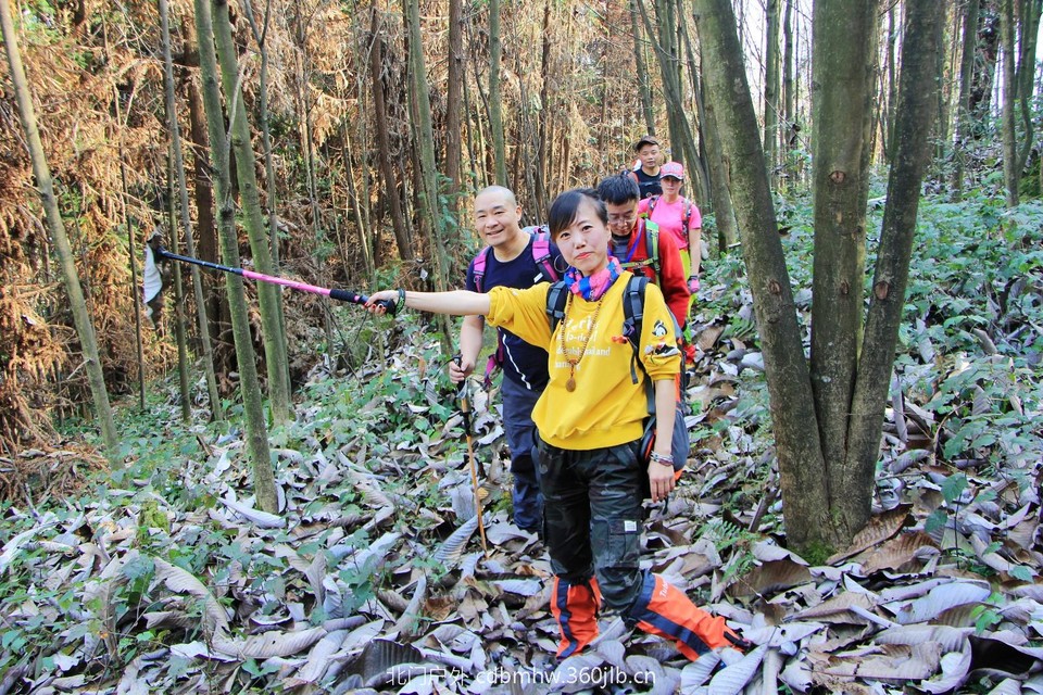 mmexport1543209071242