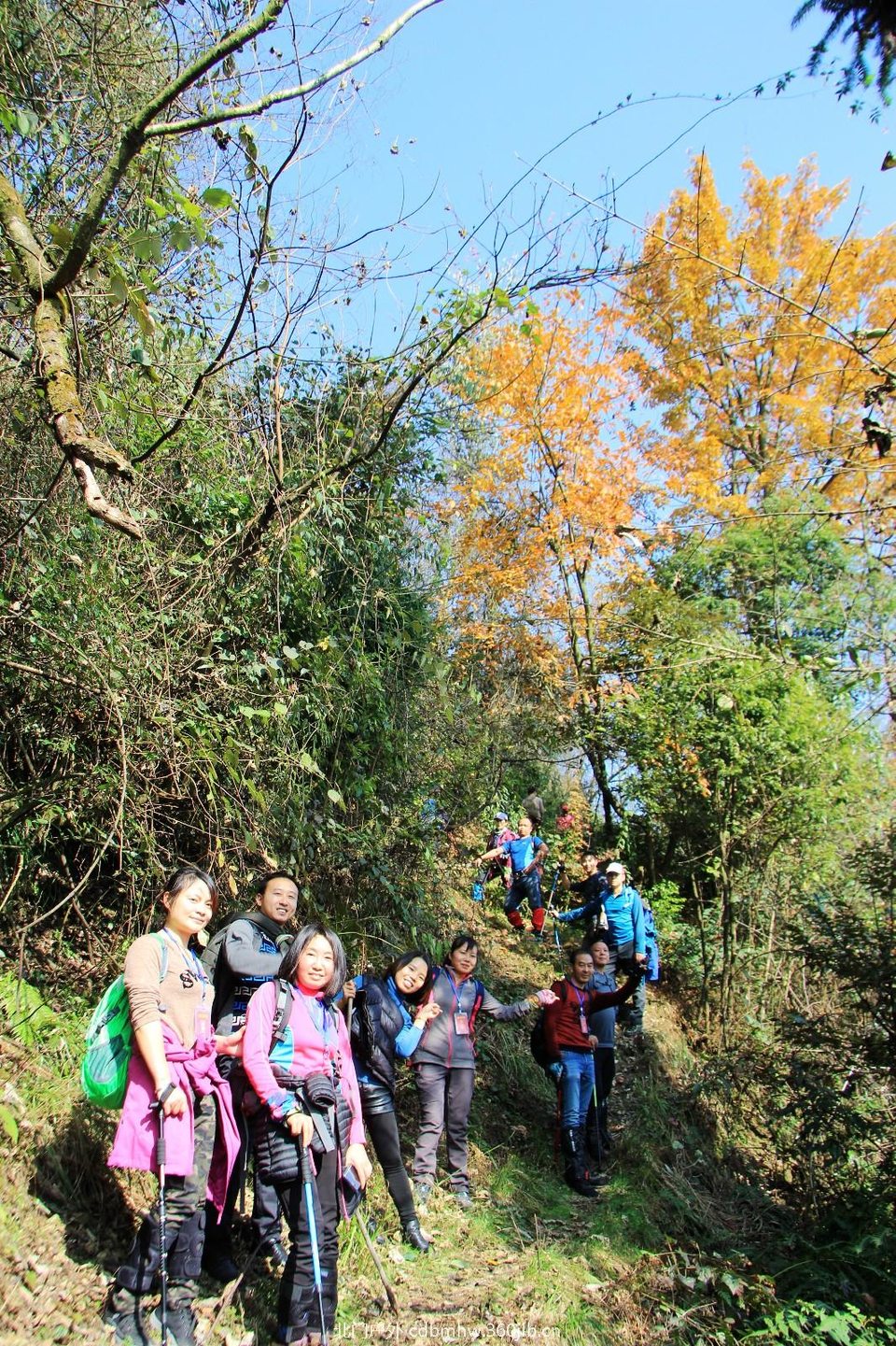 mmexport1543208930738