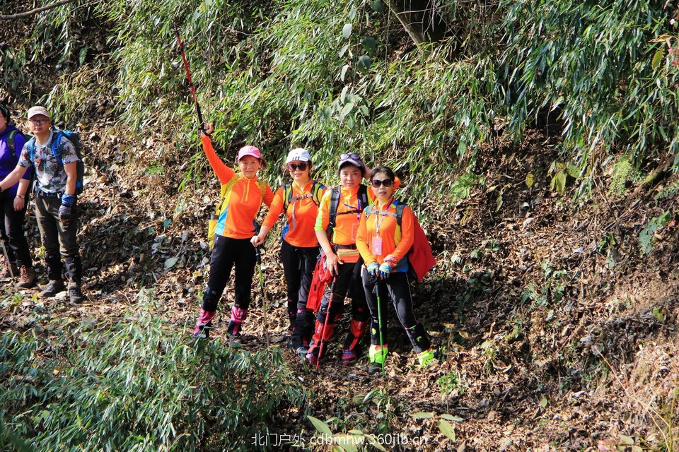 mmexport1543208878560