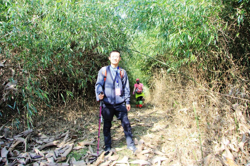 mmexport1543208800278