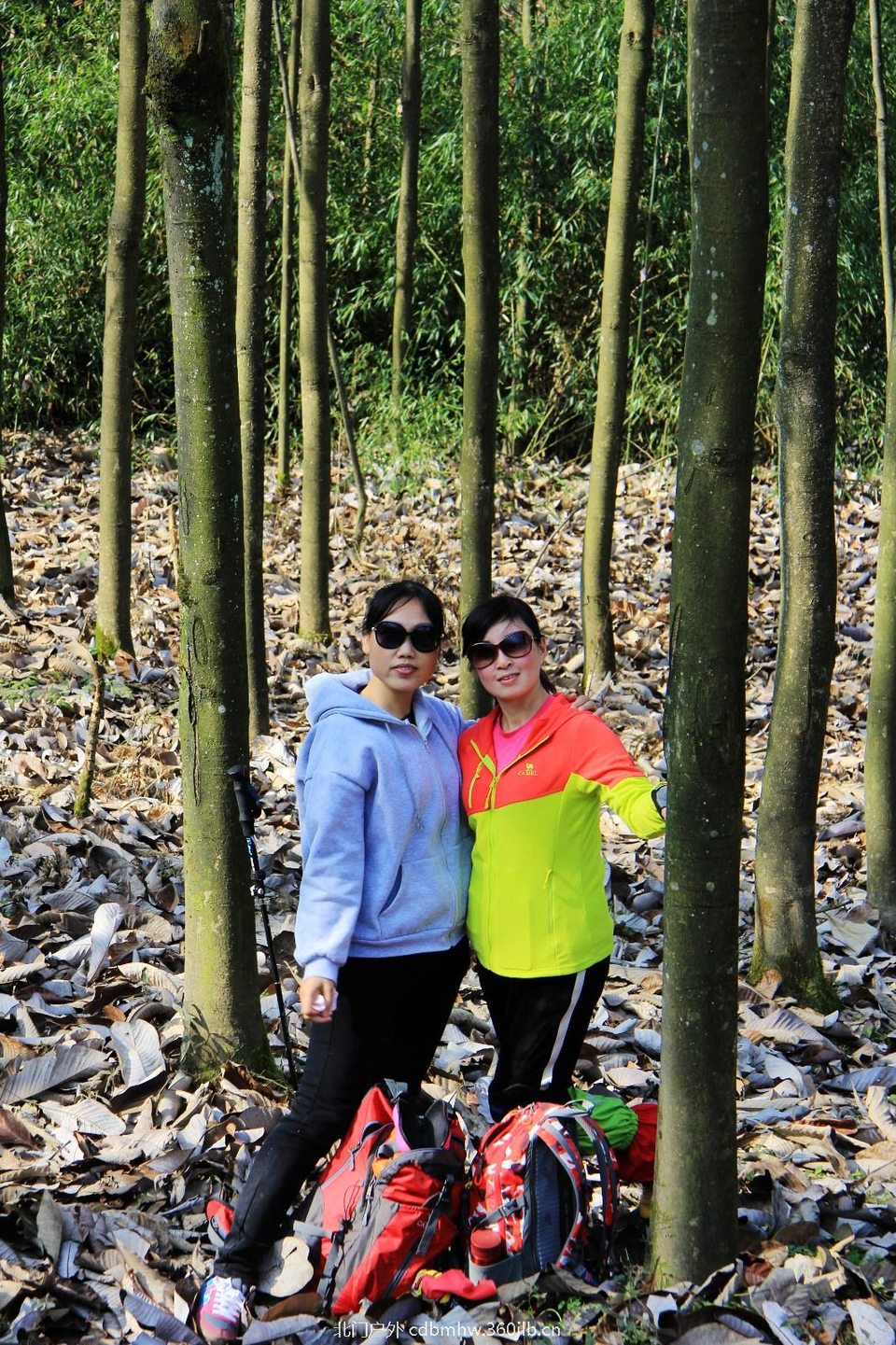 mmexport1543208641692