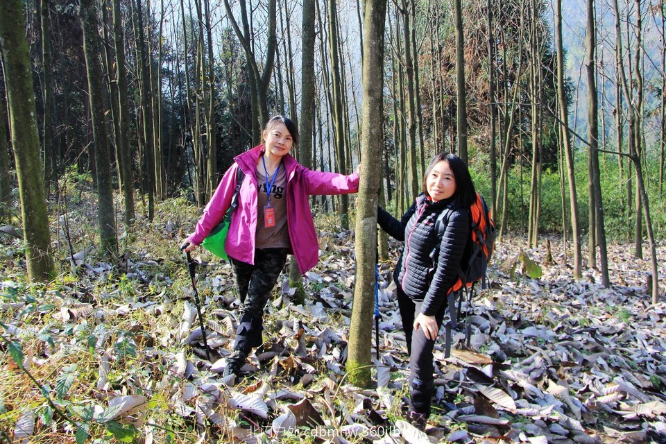 mmexport1543208668073