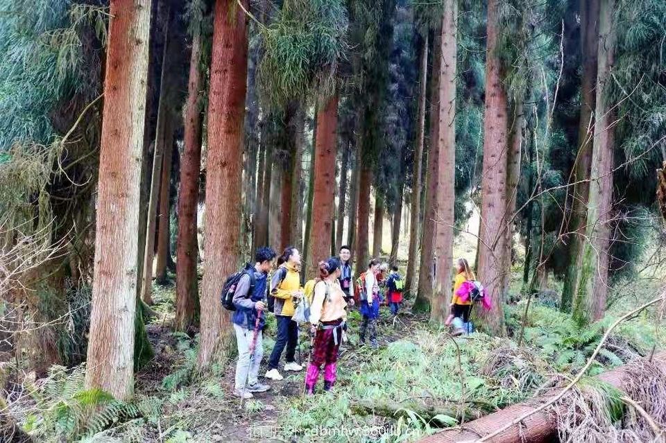 mmexport1543199809181