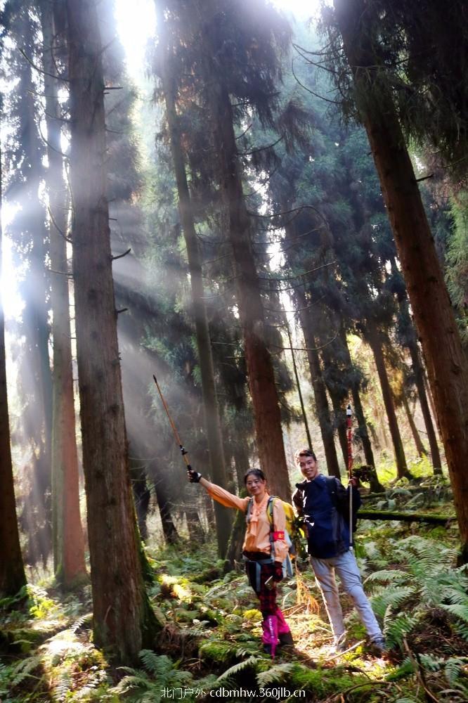 mmexport1543199773226