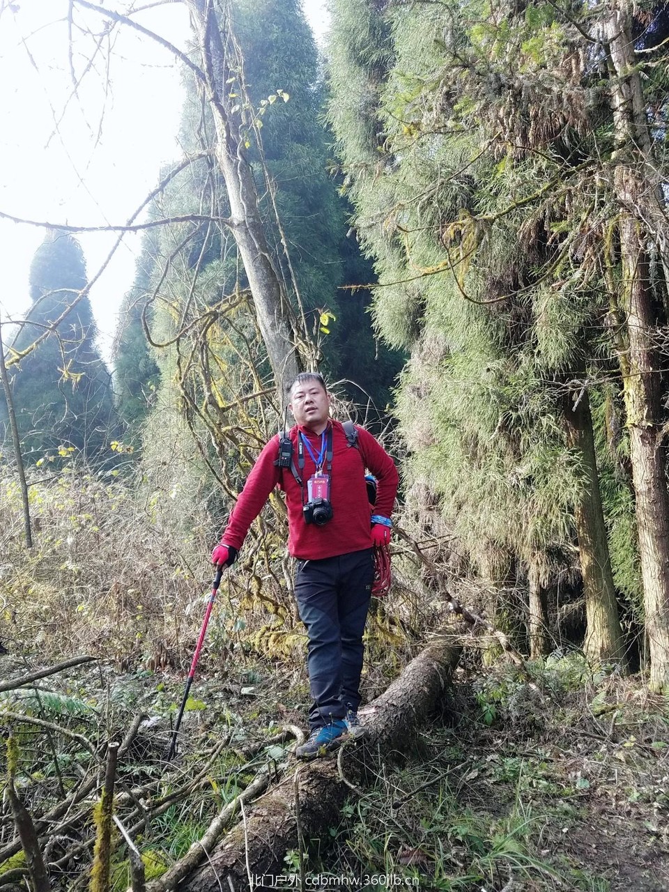 WuTa_2018-11-25_14-51-31