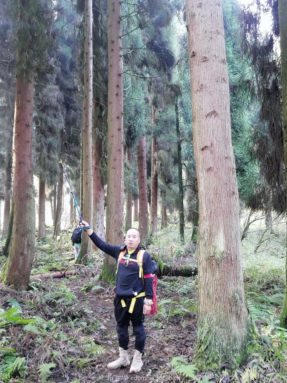 WuTa_2018-11-25_14-53-59