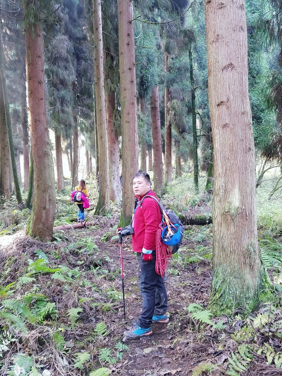 WuTa_2018-11-25_14-53-30