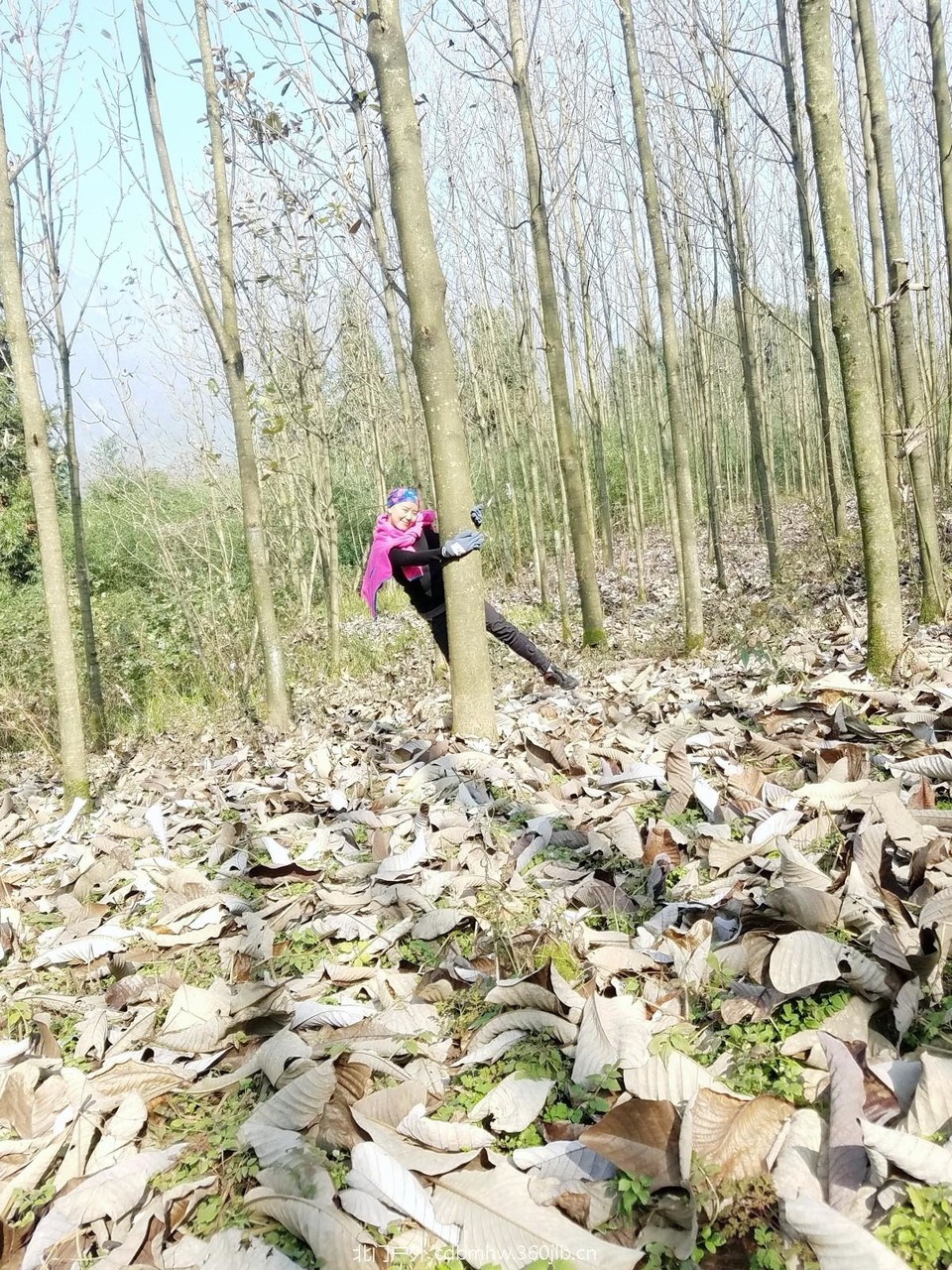 WuTa_2018-11-25_13-44-28