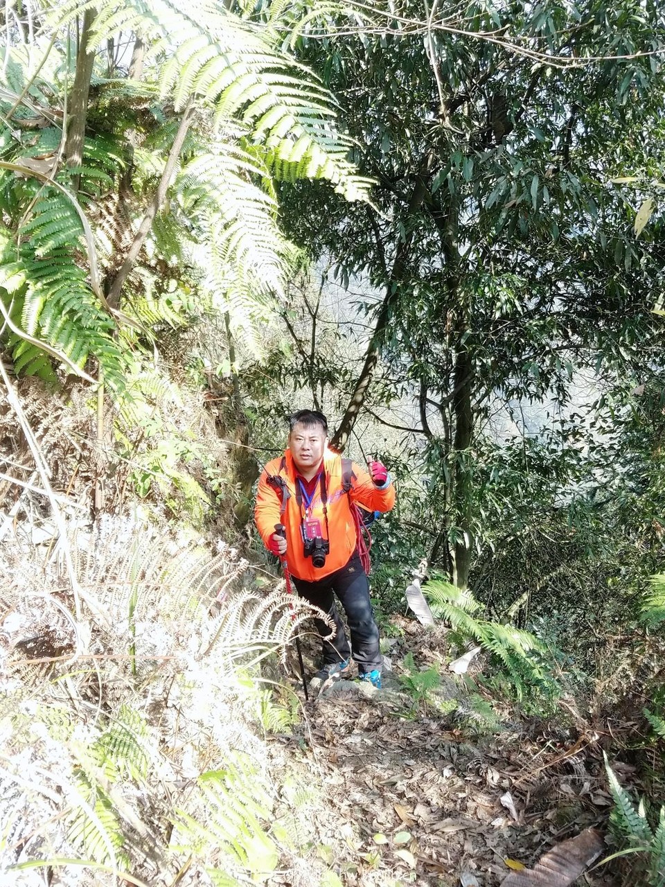 WuTa_2018-11-25_12-20-28