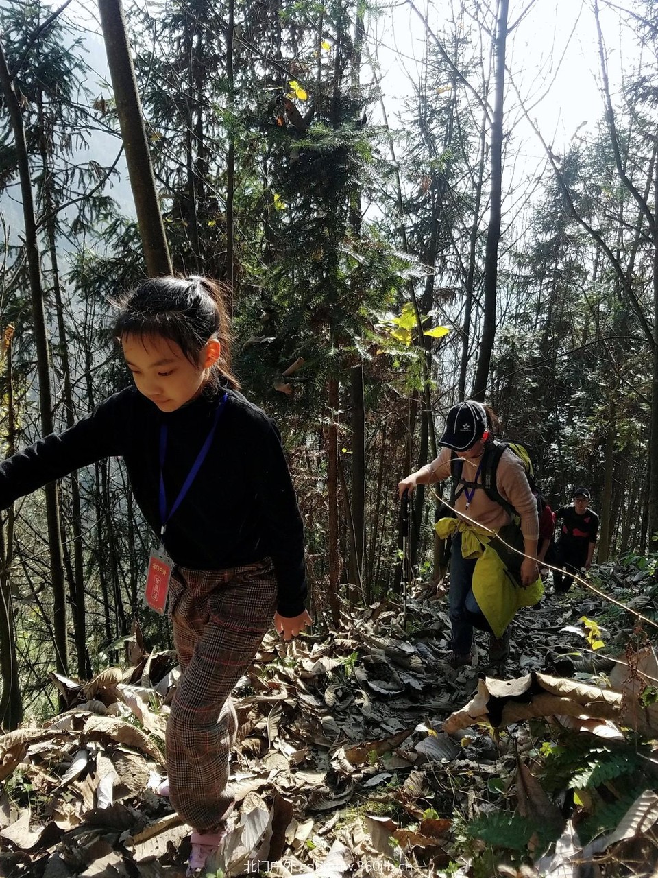 WuTa_2018-11-25_11-11-51