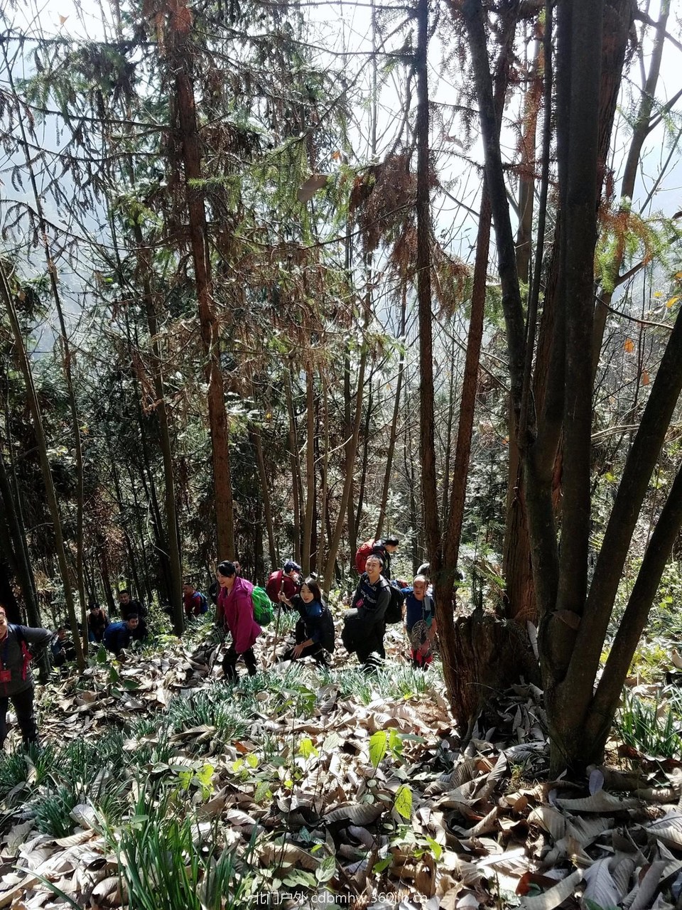 WuTa_2018-11-25_11-02-30