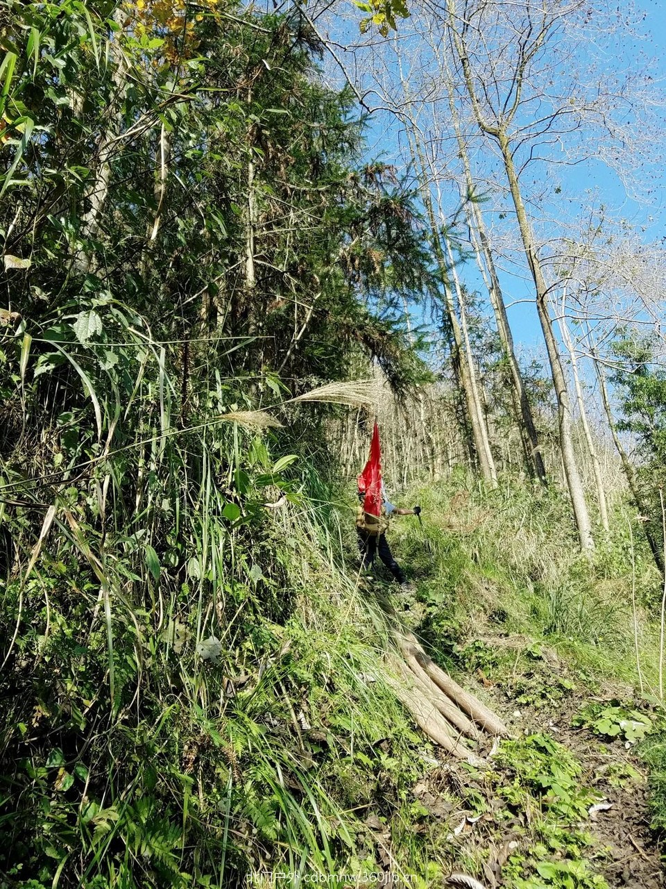 WuTa_2018-11-25_10-46-38