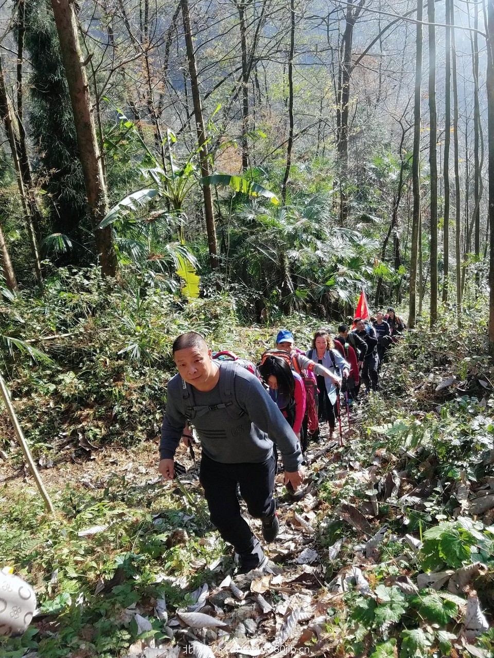 WuTa_2018-11-25_10-40-50