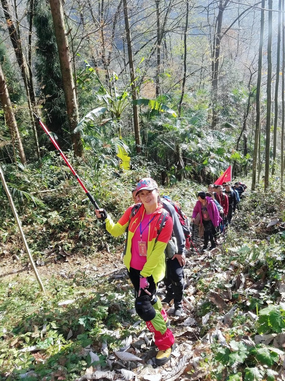 WuTa_2018-11-25_10-40-47