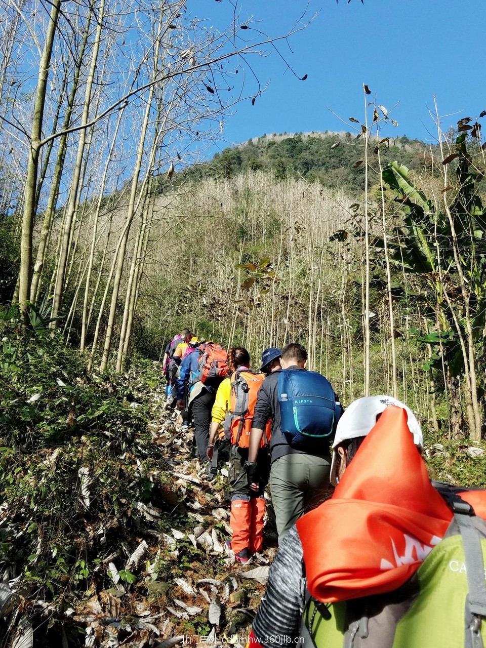 WuTa_2018-11-25_10-40-15