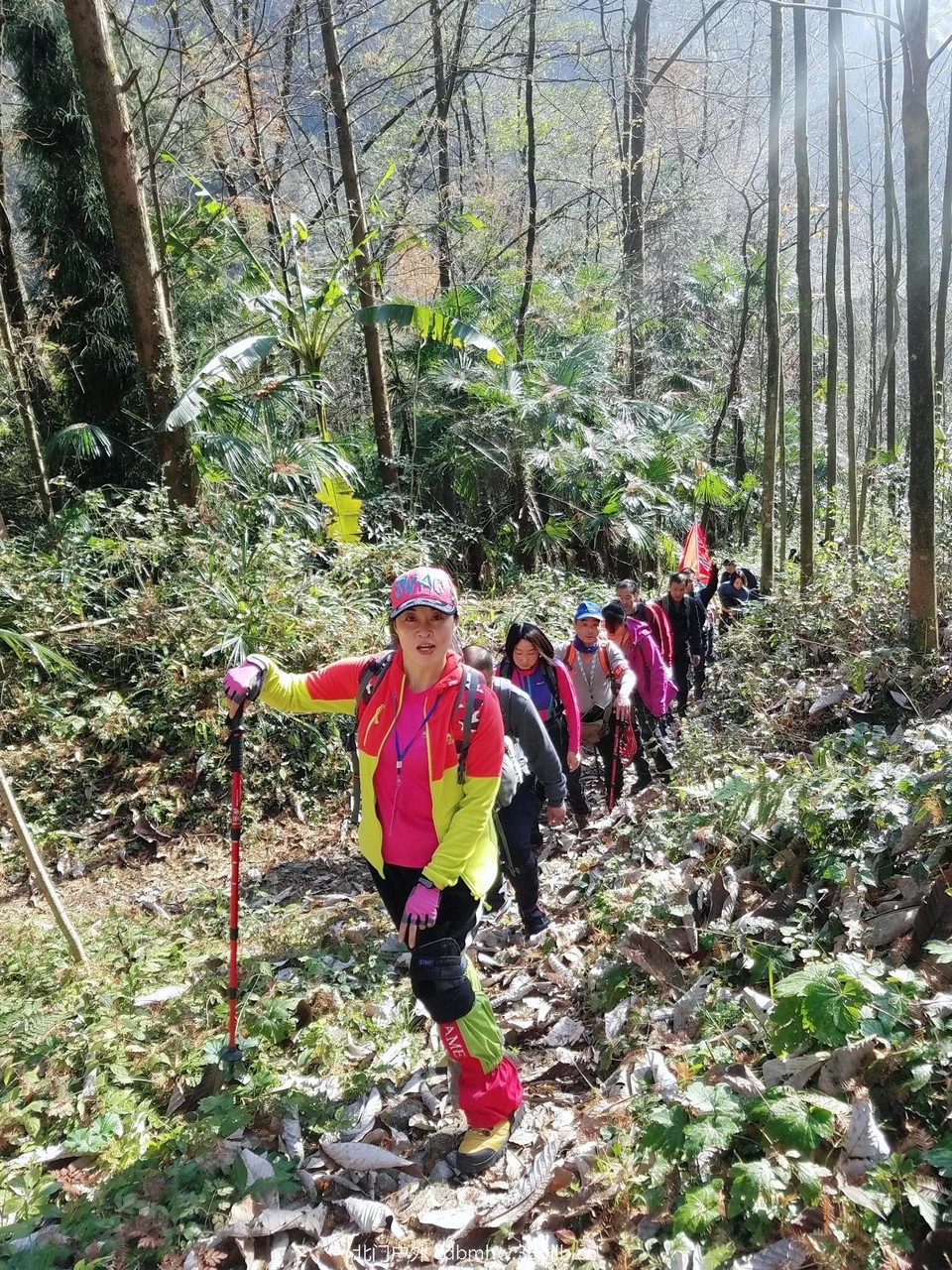 WuTa_2018-11-25_10-40-45