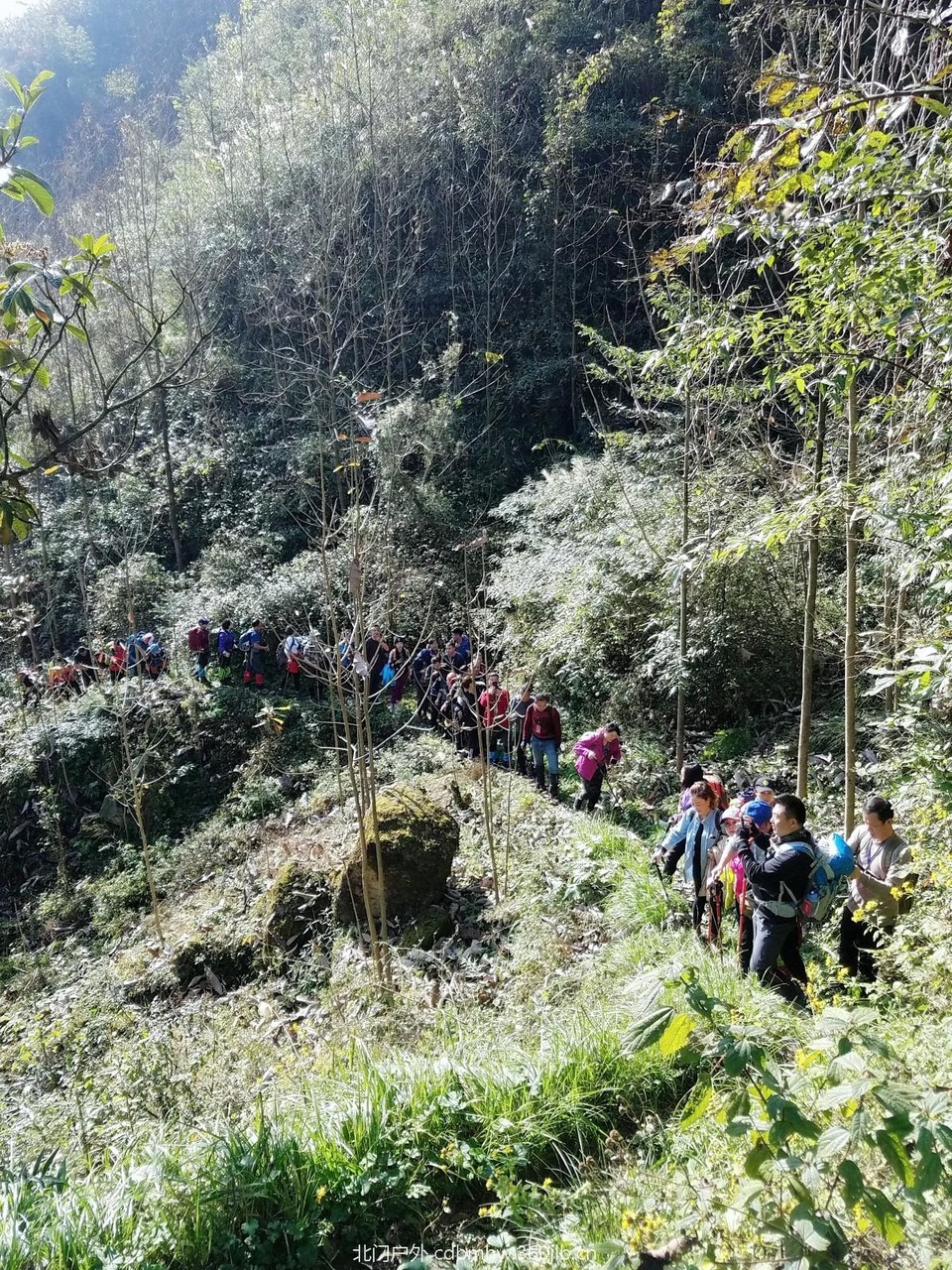 WuTa_2018-11-25_10-45-00