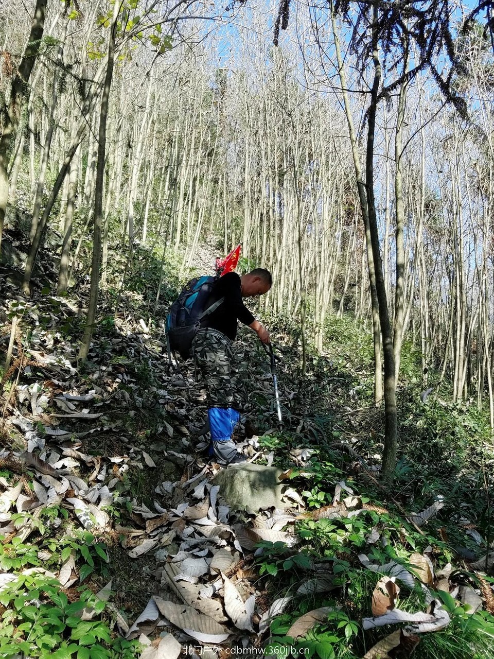 WuTa_2018-11-25_10-49-49