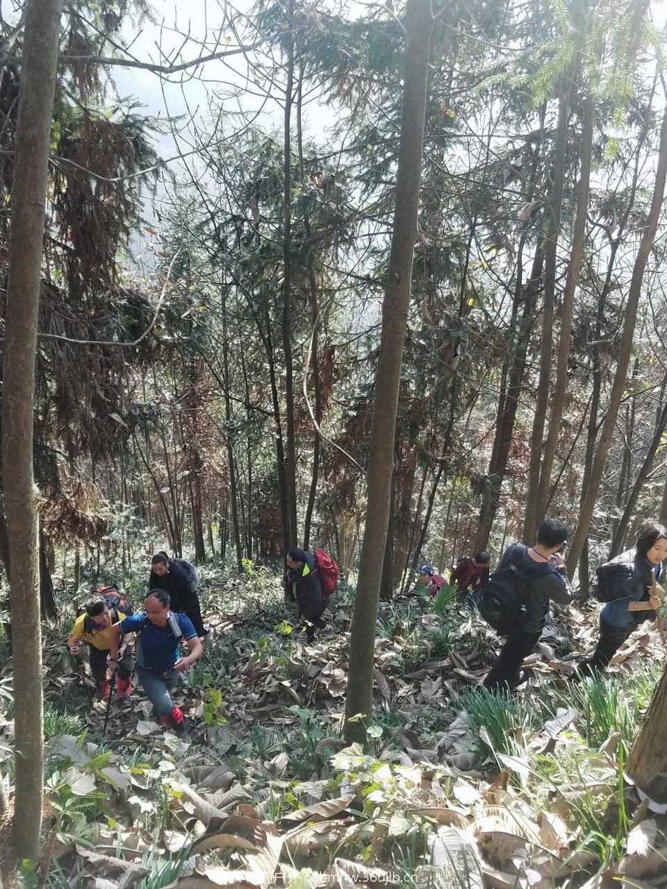 WuTa_2018-11-25_11-02-01