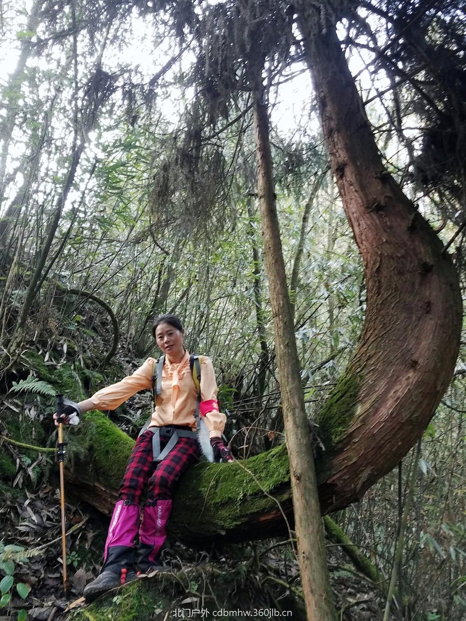 WuTa_2018-11-25_14-48-02