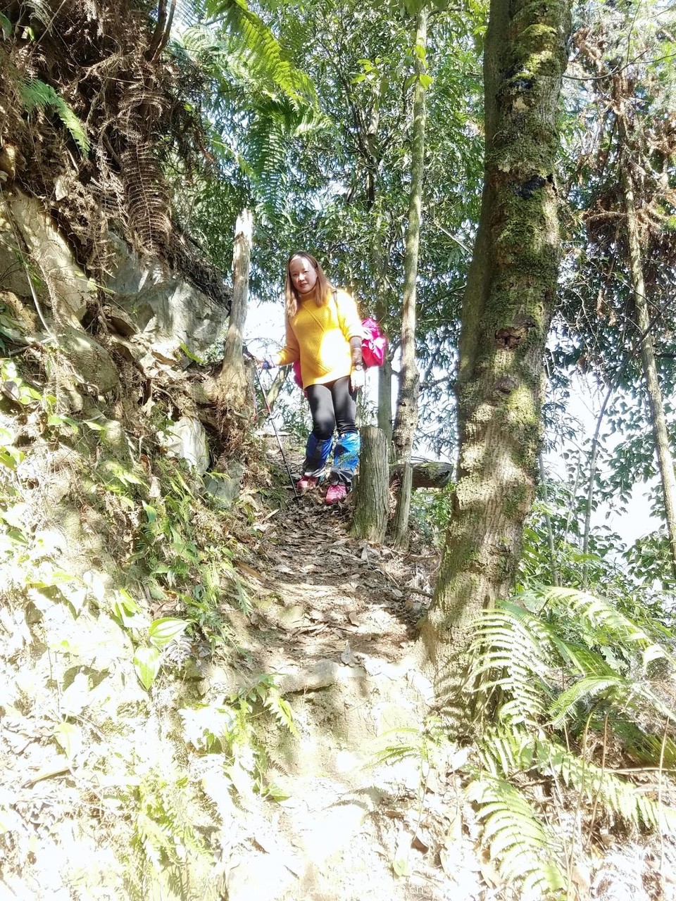 WuTa_2018-11-25_12-19-46