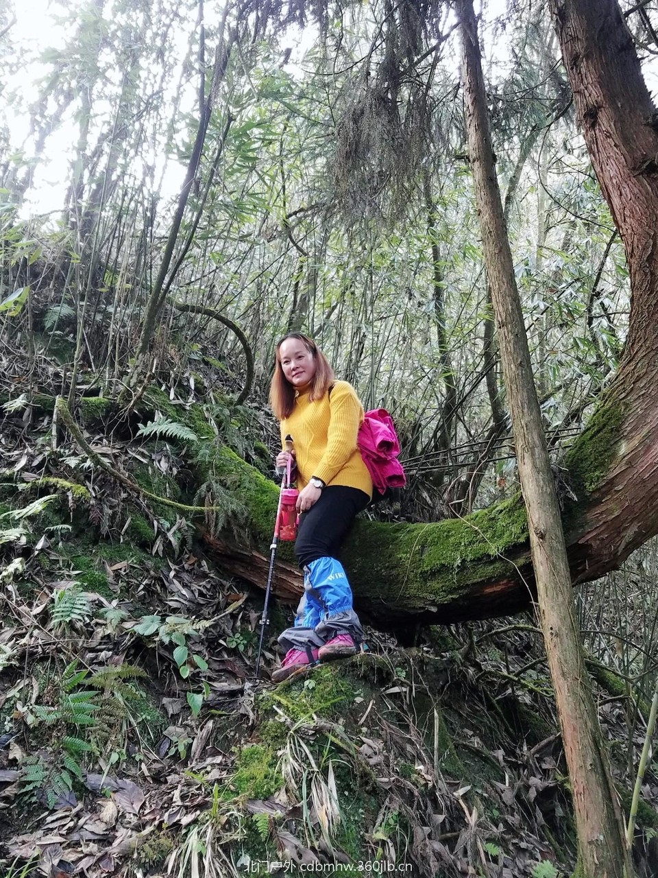 WuTa_2018-11-25_14-47-30