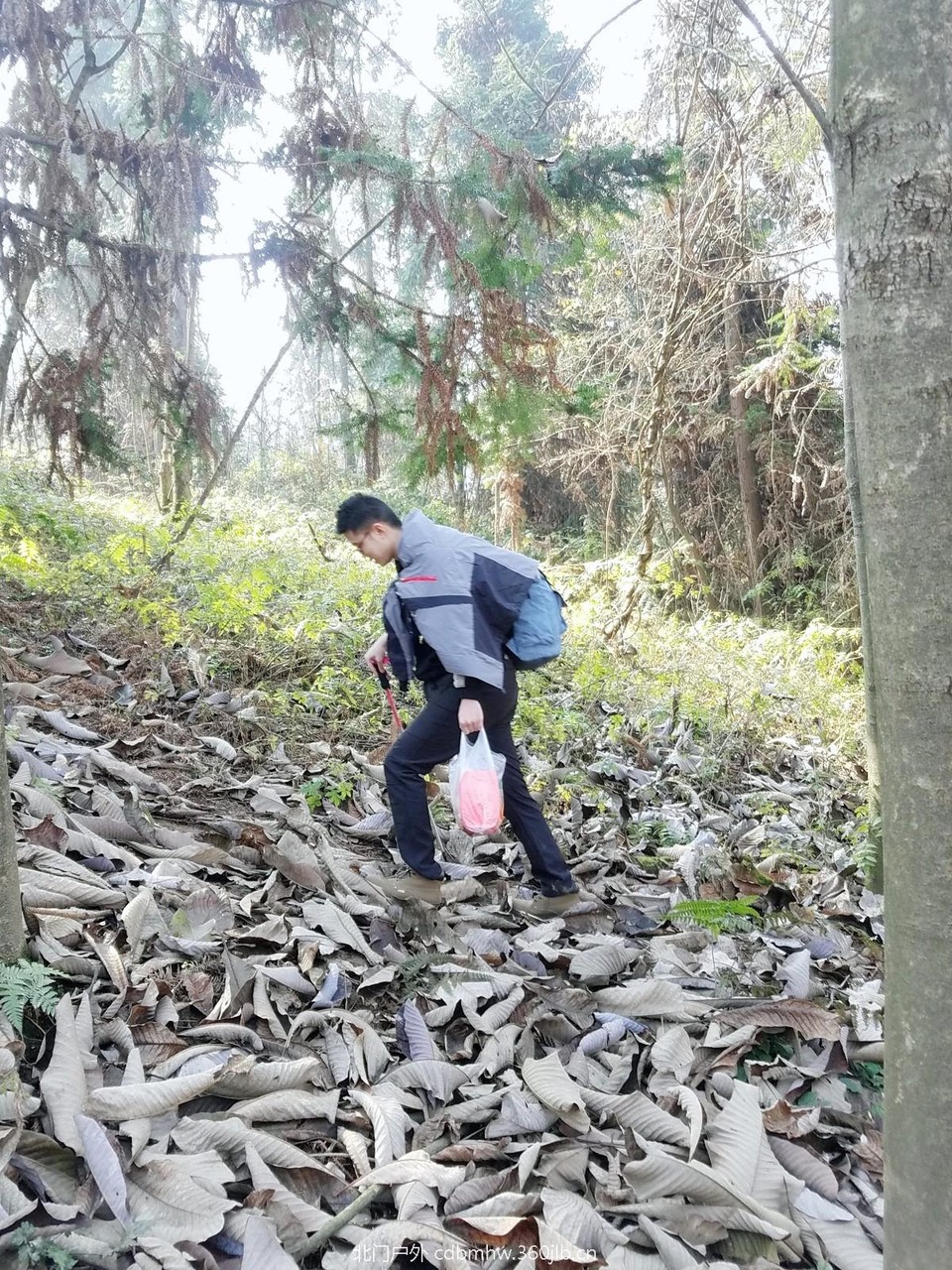 WuTa_2018-11-25_13-54-01