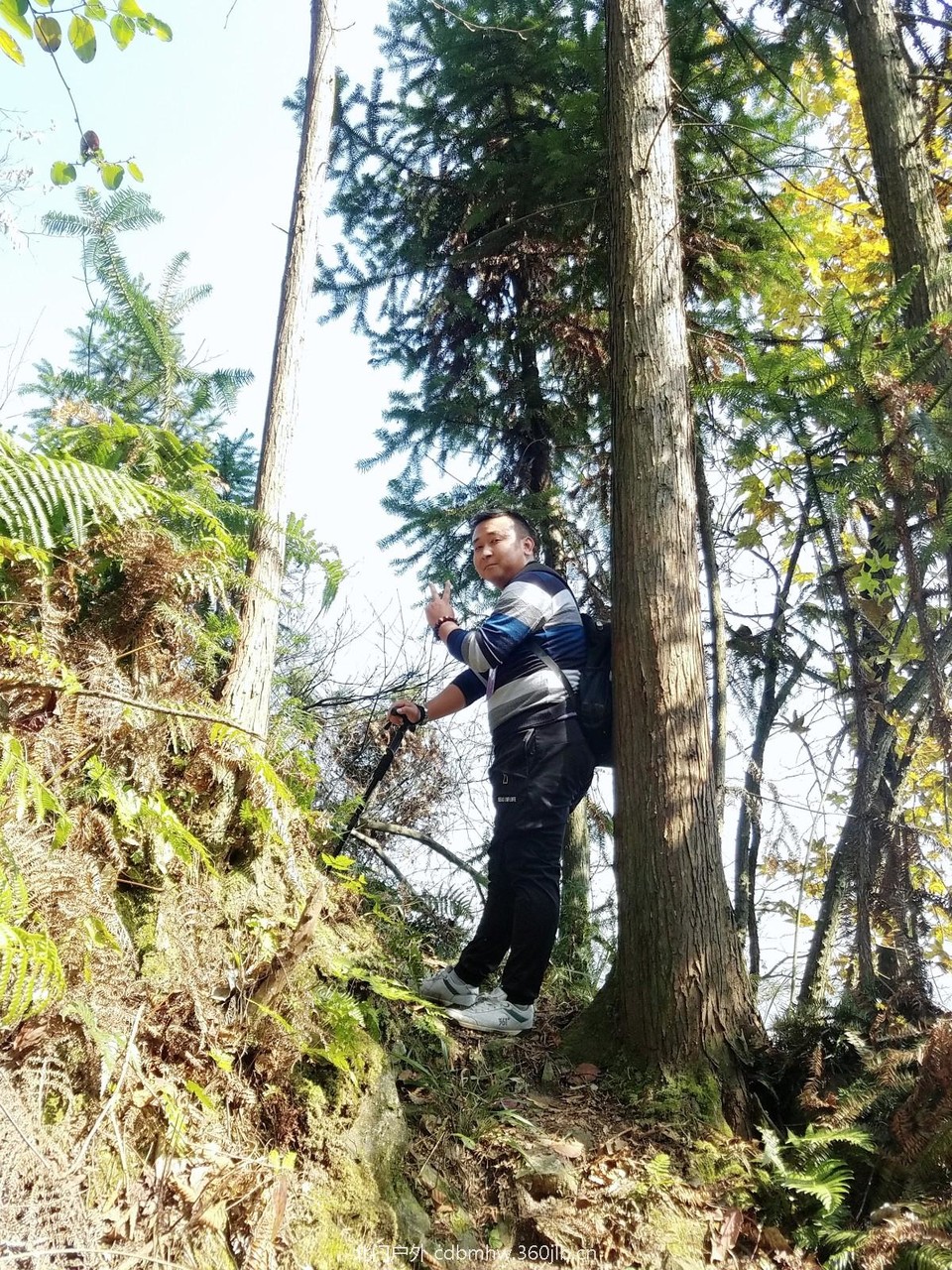 WuTa_2018-11-25_12-46-07