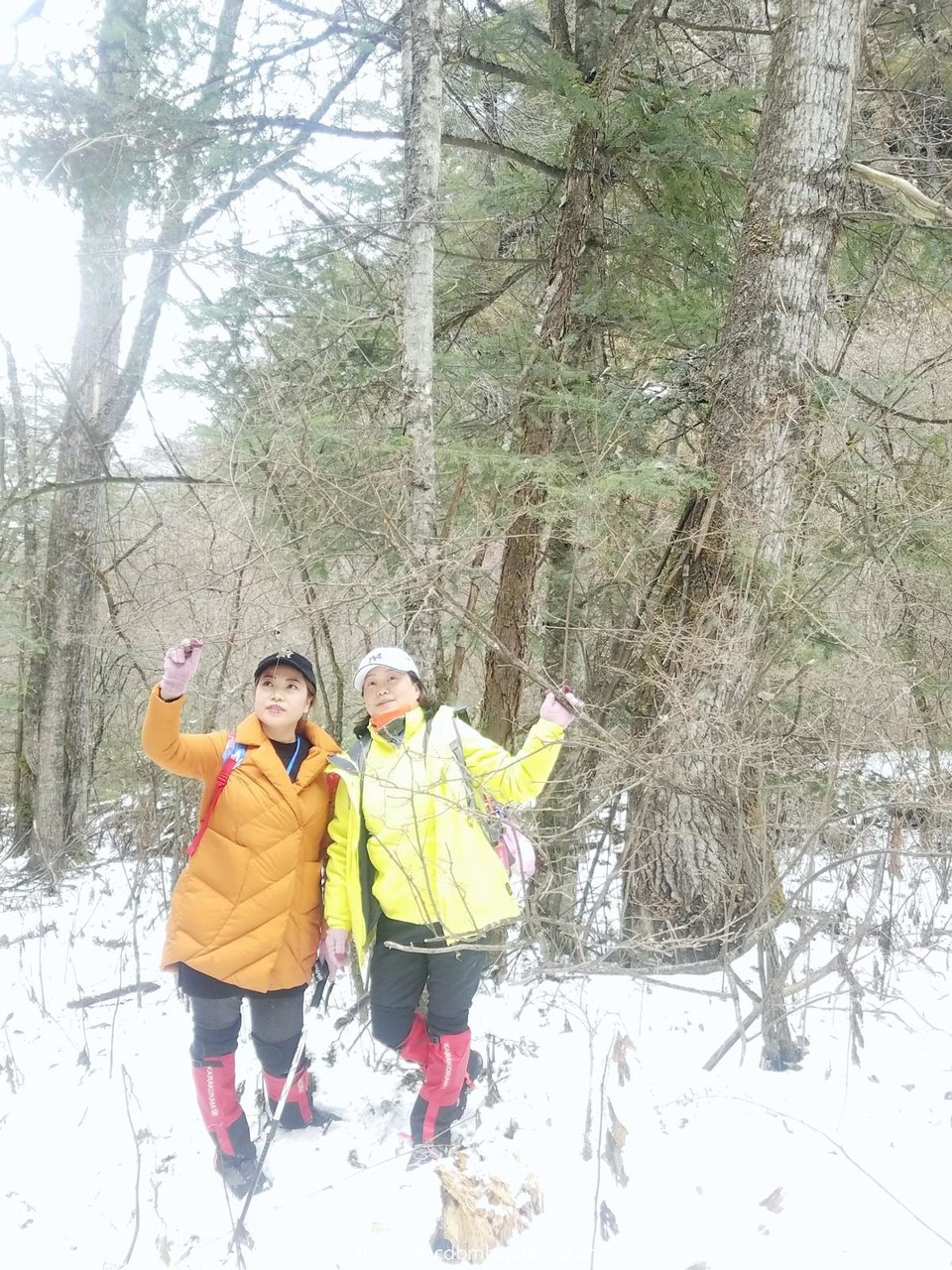 WuTa_2018-11-21_14-22-49