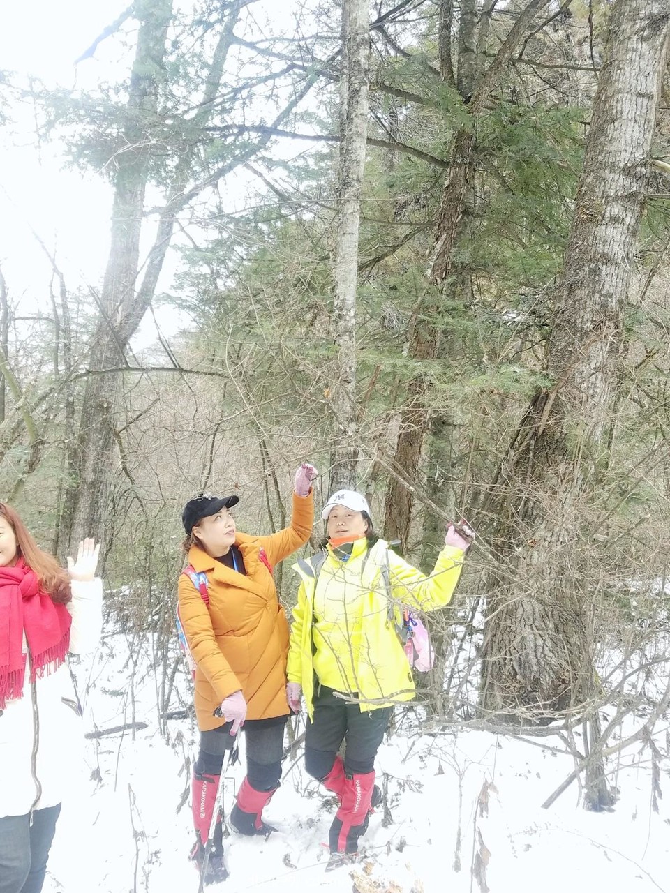 WuTa_2018-11-21_14-22-38