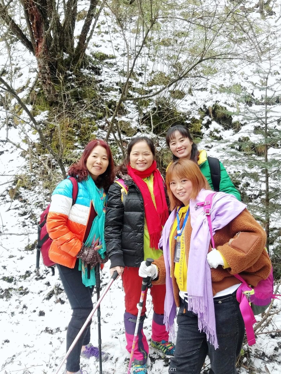 WuTa_2018-11-21_14-04-37