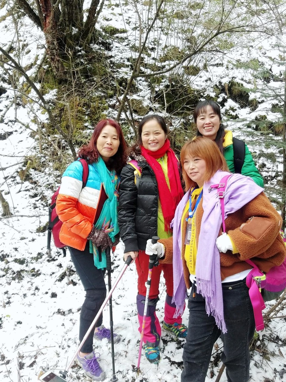 WuTa_2018-11-21_14-04-35