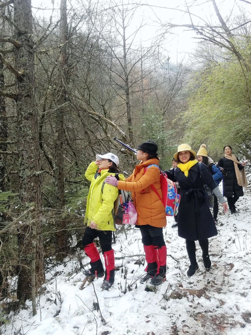 WuTa_2018-11-21_13-54-55