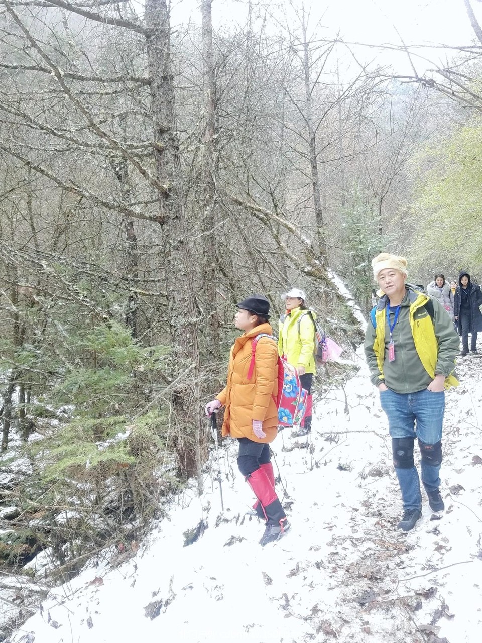 WuTa_2018-11-21_13-54-05