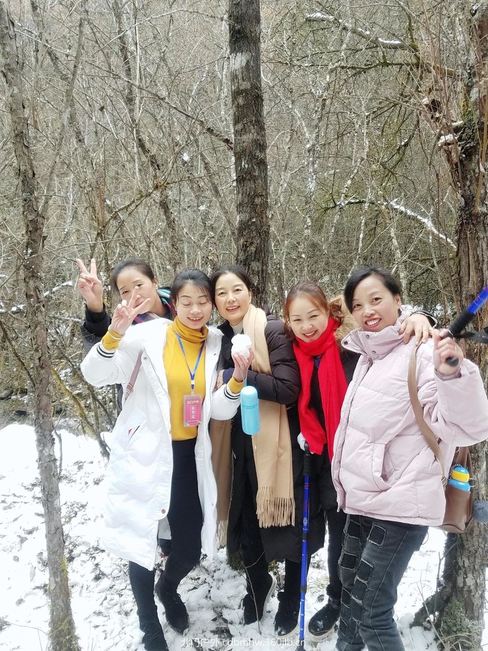 WuTa_2018-11-21_13-48-27